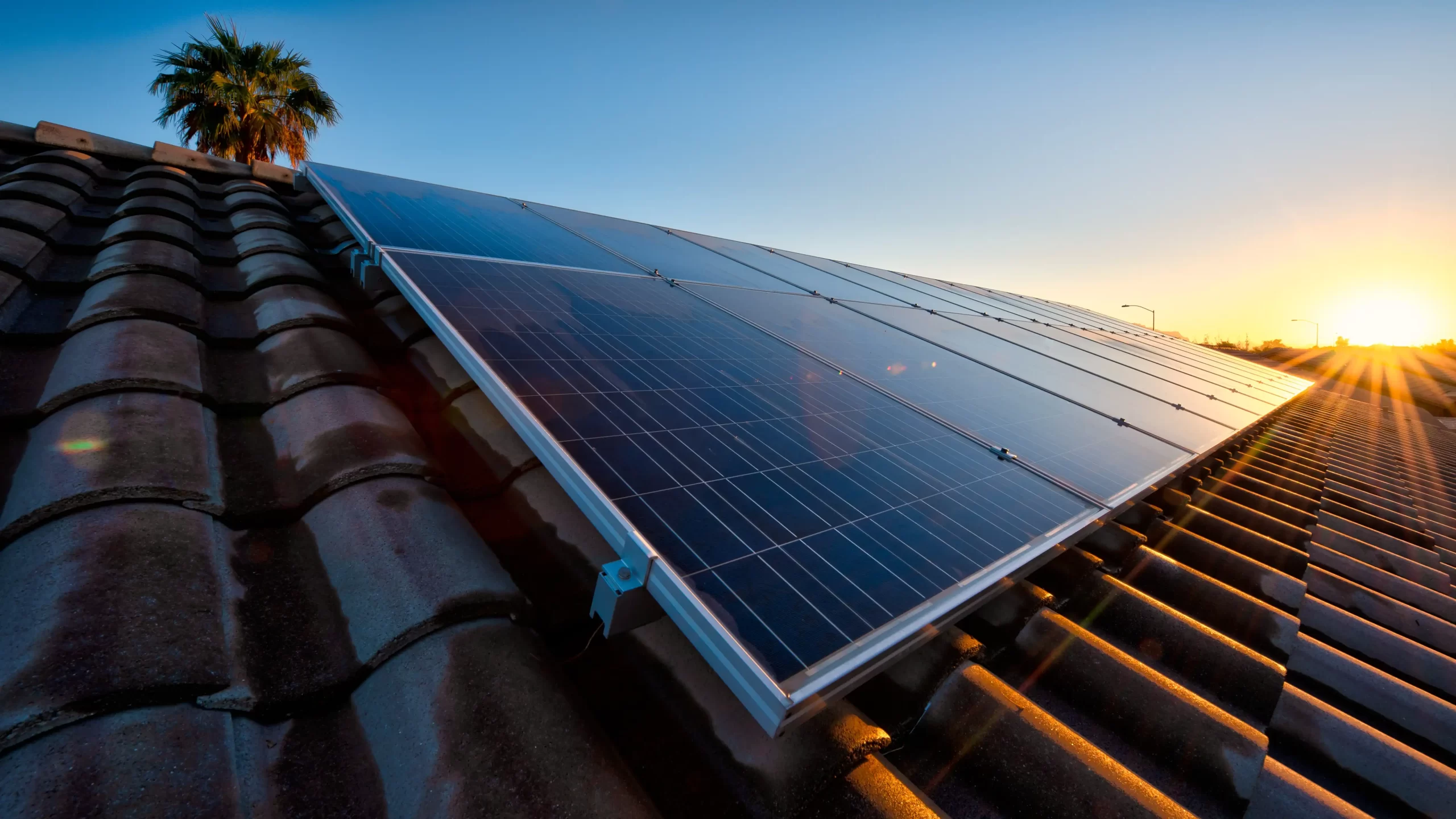 Solar panels in a desert environment